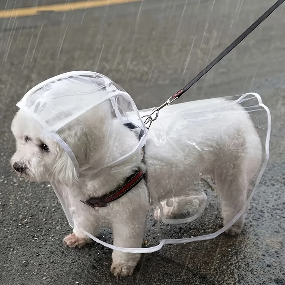 Transparent regnkappa med huva