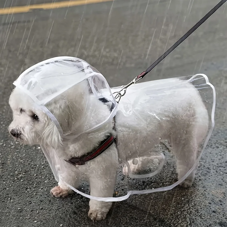 Transparent regnkappa med huva