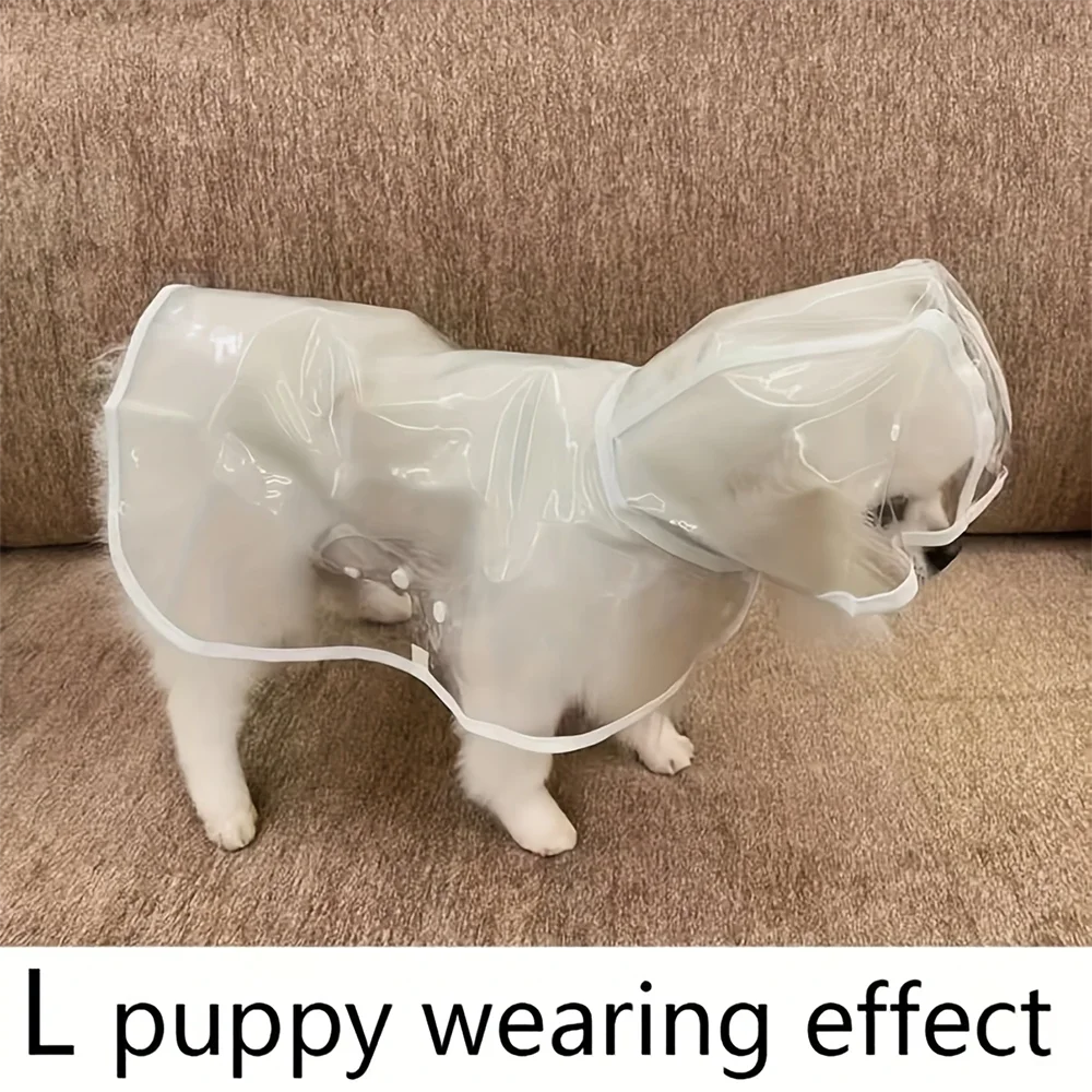 Transparent regnkappa med huva