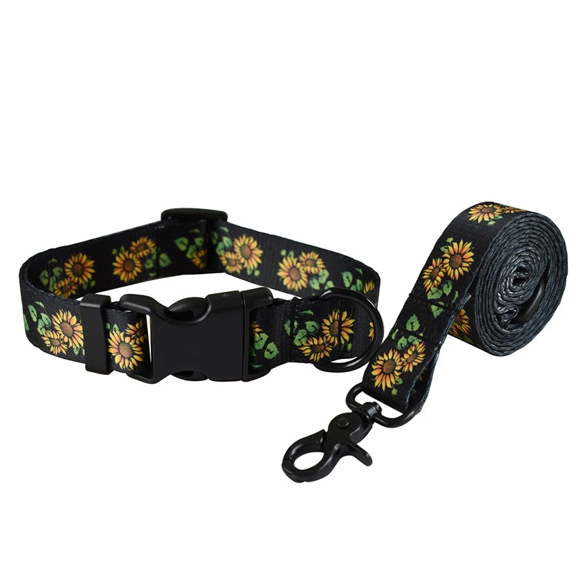 Mönstrat halsband och matchande koppel