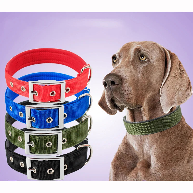 Justerbart hundhalsband i nylon