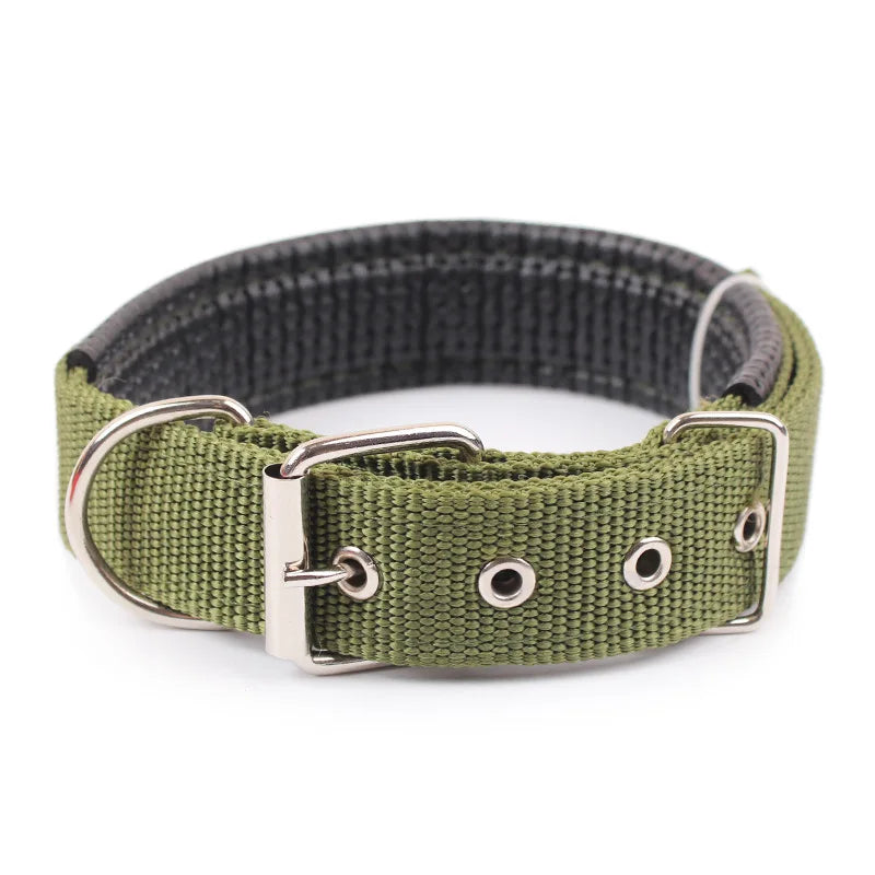 Justerbart hundhalsband i nylon