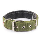 Justerbart hundhalsband i nylon