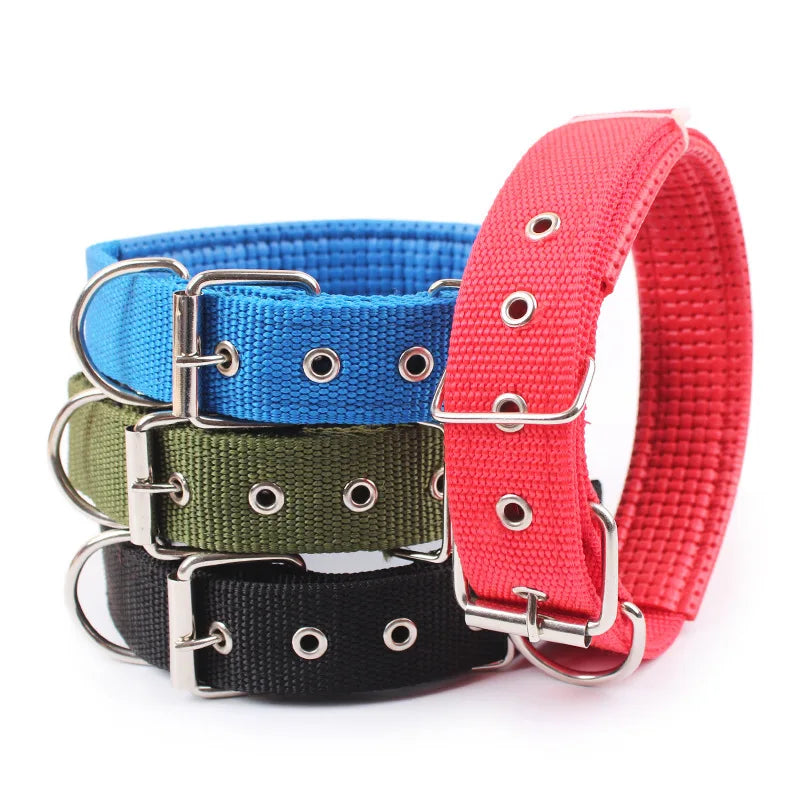 Justerbart hundhalsband i nylon