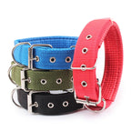 Justerbart hundhalsband i nylon