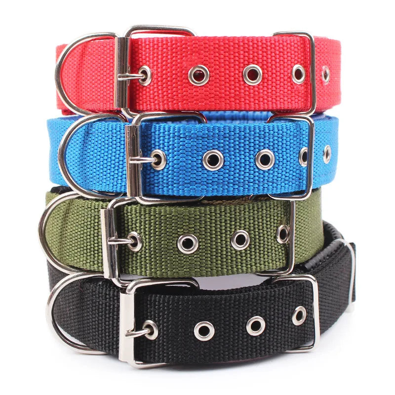 Justerbart hundhalsband i nylon