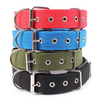 Justerbart hundhalsband i nylon