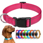 Justerbart halsband med reflexsömmar