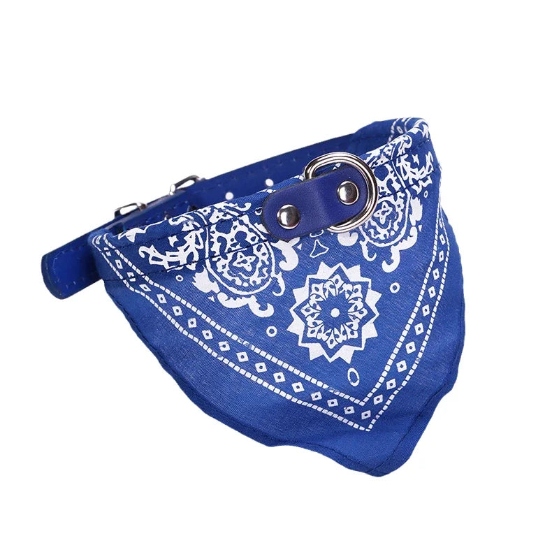 Hundhalsband med mönstrad scarf