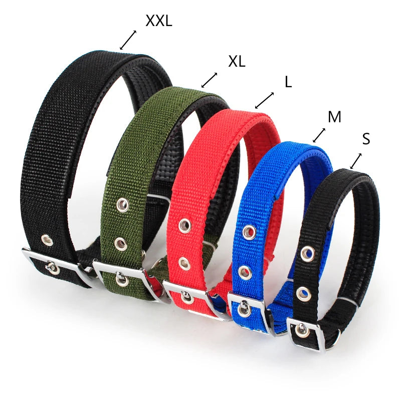 Justerbart hundhalsband i nylon