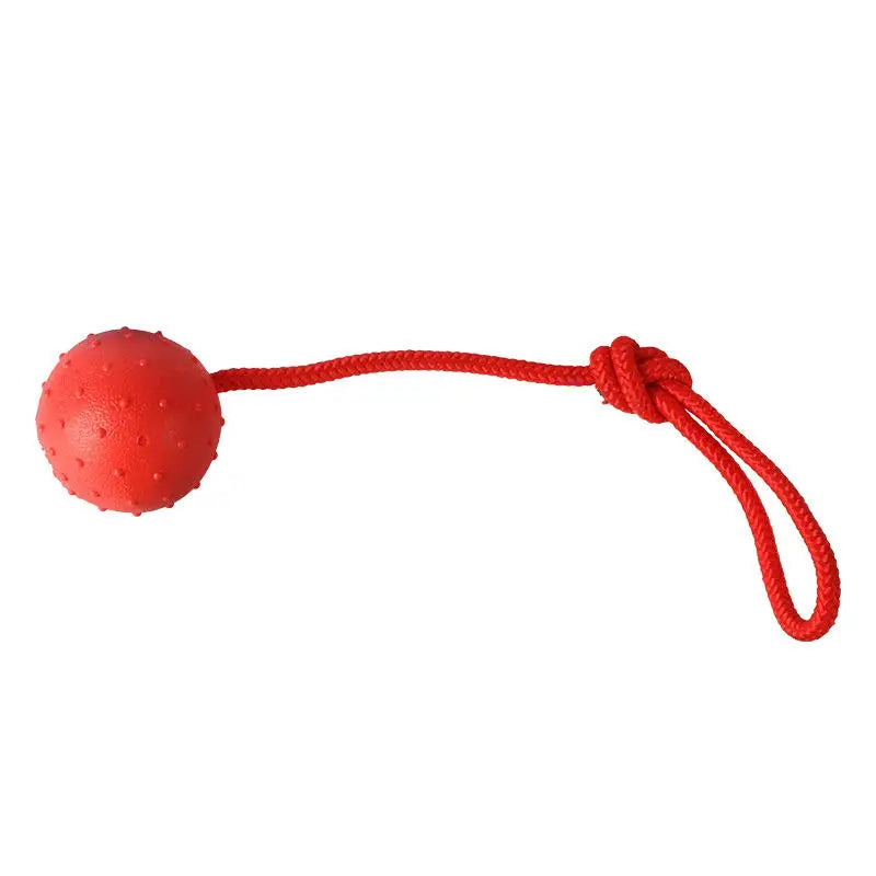 Noppad apportboll med rep
