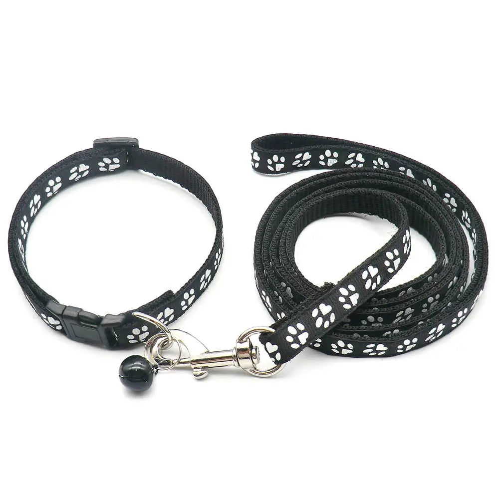 Halsband och koppel med tassmotiv