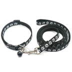 Halsband och koppel med tassmotiv
