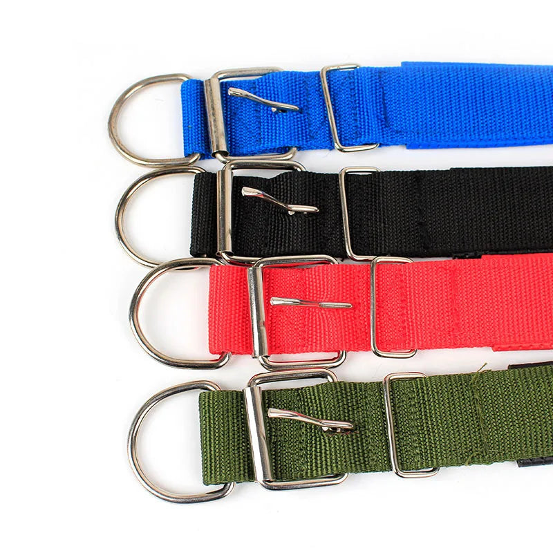 Justerbart hundhalsband i nylon