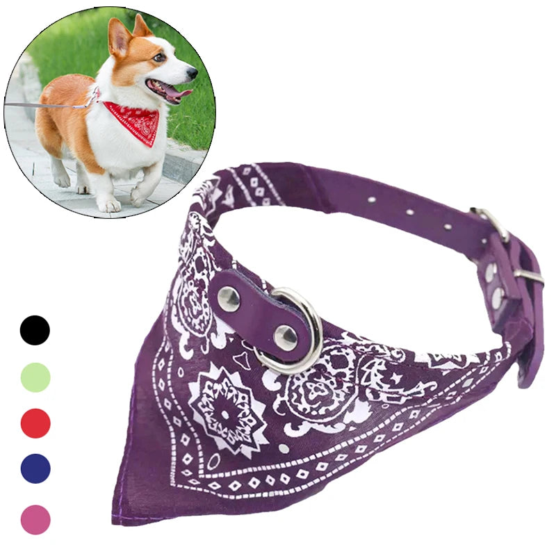 Hundhalsband med mönstrad scarf