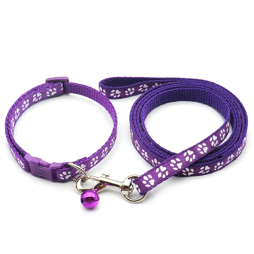Halsband och koppel med tassmotiv