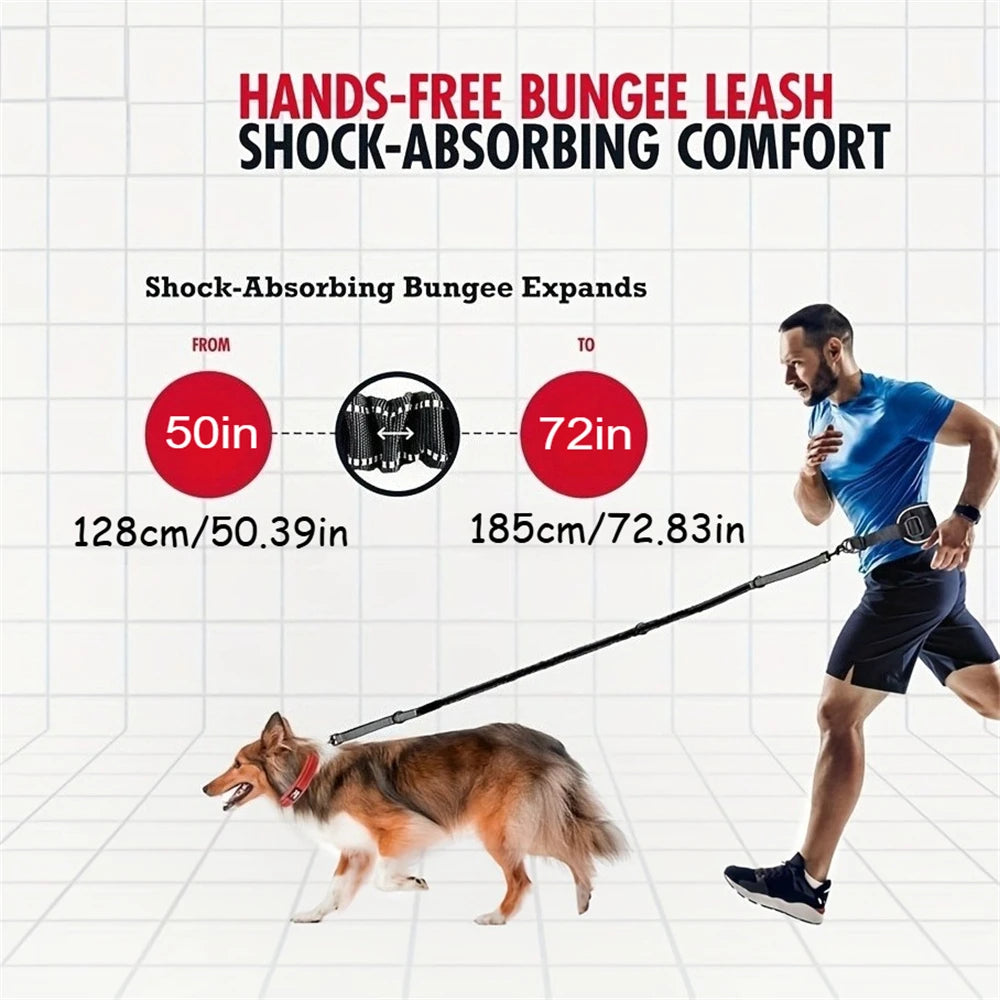 Midjebälte med elastiskt hundkoppel