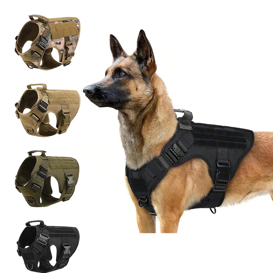 Hundsele med metallspännen och handtag