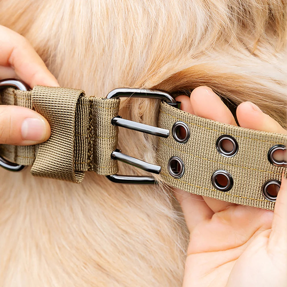 Hundhalsband med dubbelspänne