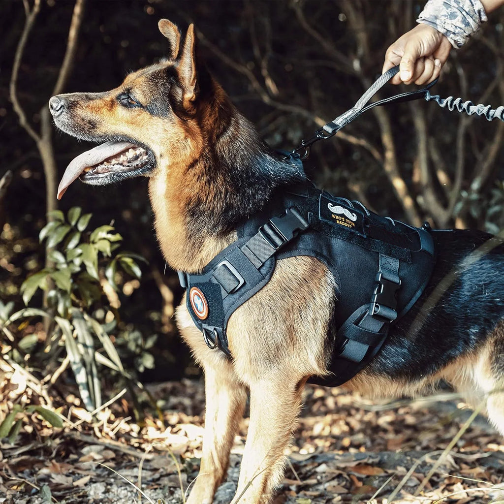 Hundsele med handtag och kardborrepaneler