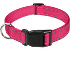 Justerbart halsband med reflexsömmar