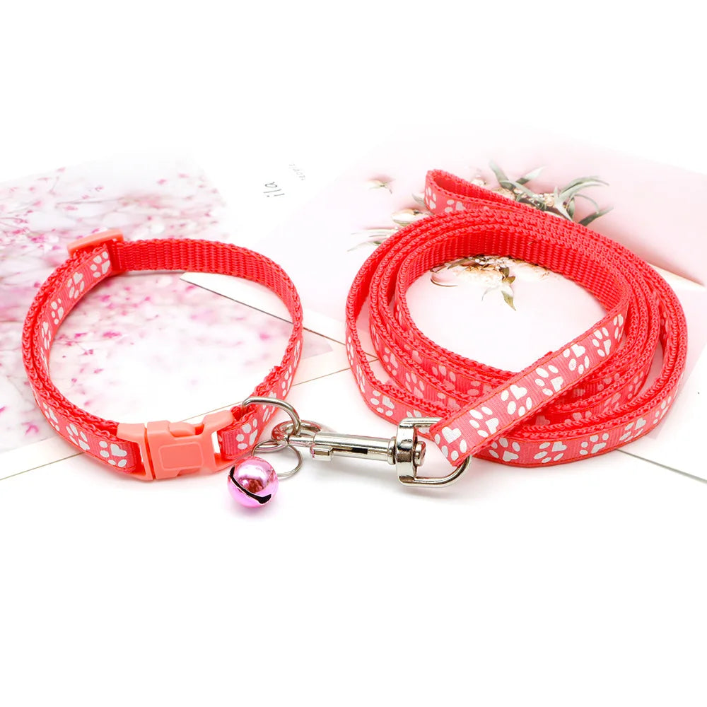 Halsband och koppel med tassmotiv
