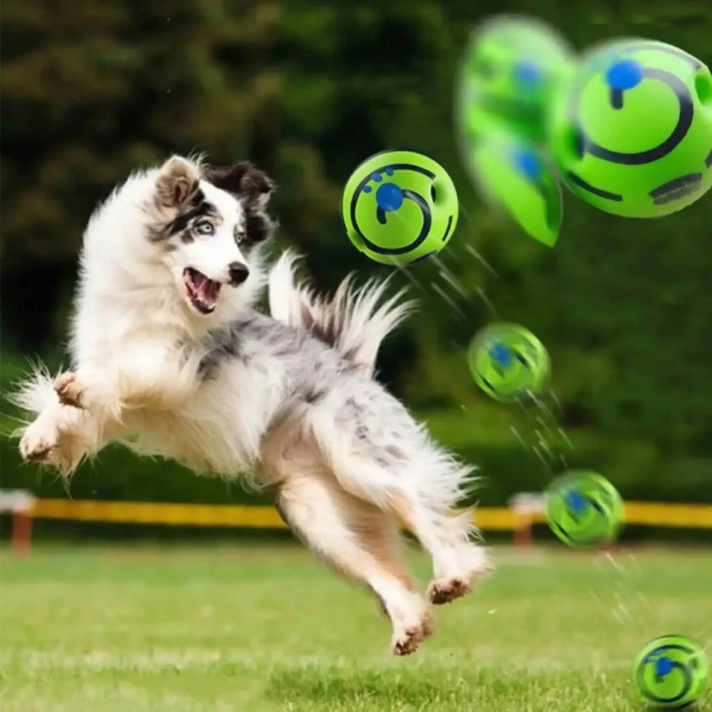 Ljudboll för hund