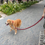 Brett flätat nylonkoppel