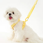 Selpaket i pastellfärger