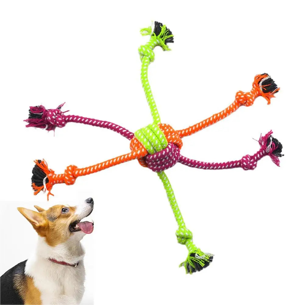 Repboll med fransar
