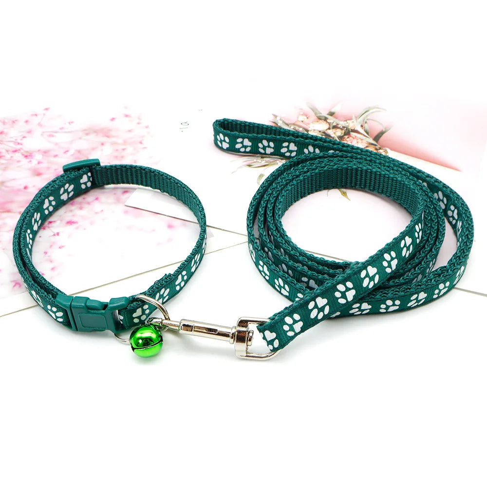 Halsband och koppel med tassmotiv
