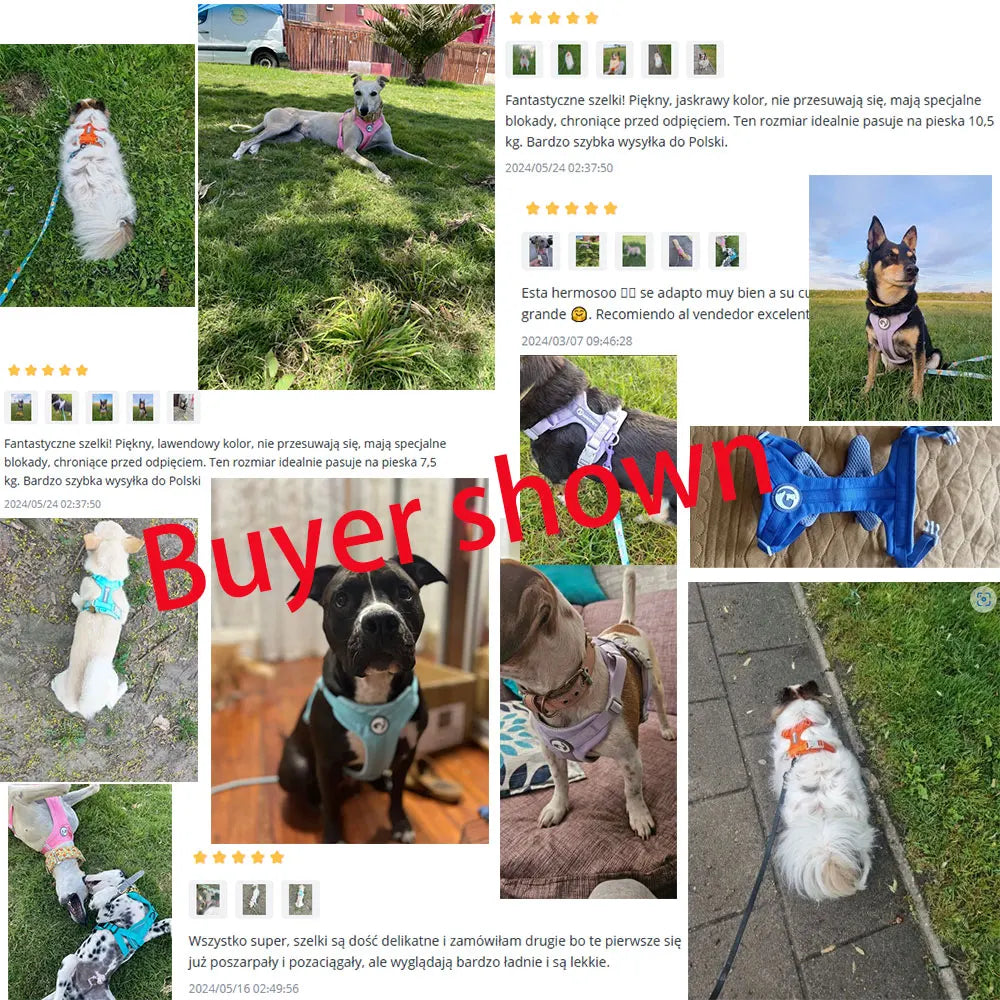 Färgglad vadderad hundsele