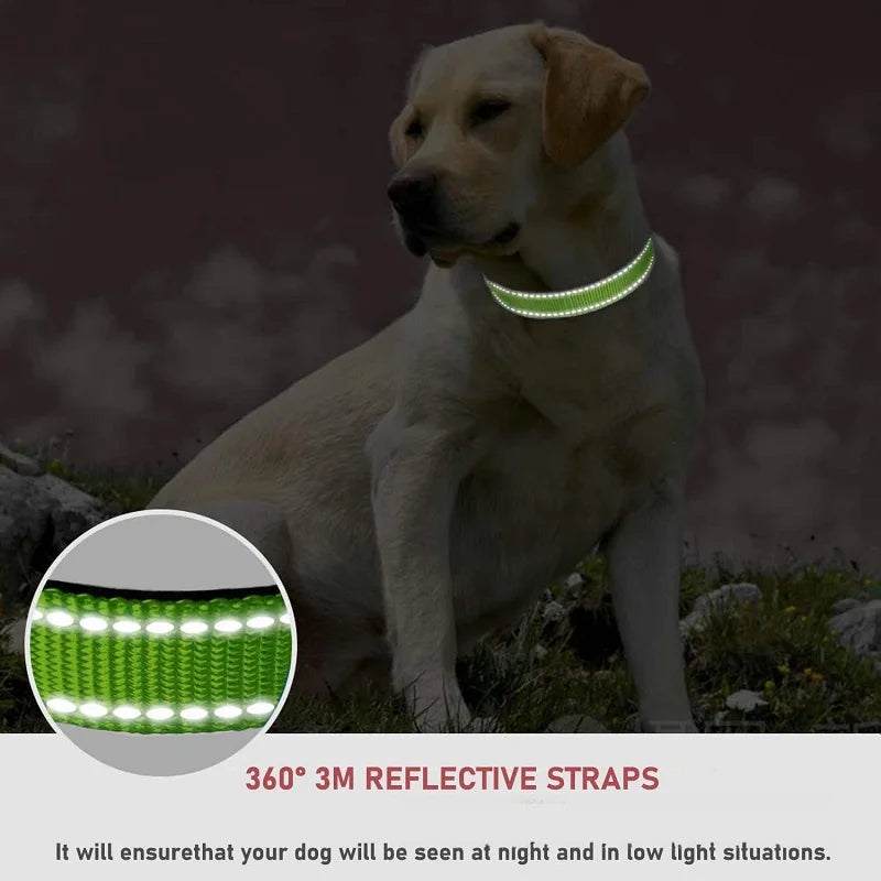 Justerbart halsband med reflexsömmar