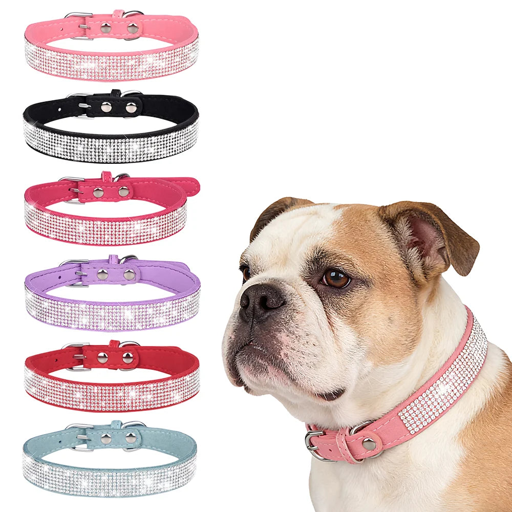 Hundhalsband med strass