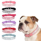 Hundhalsband med strass