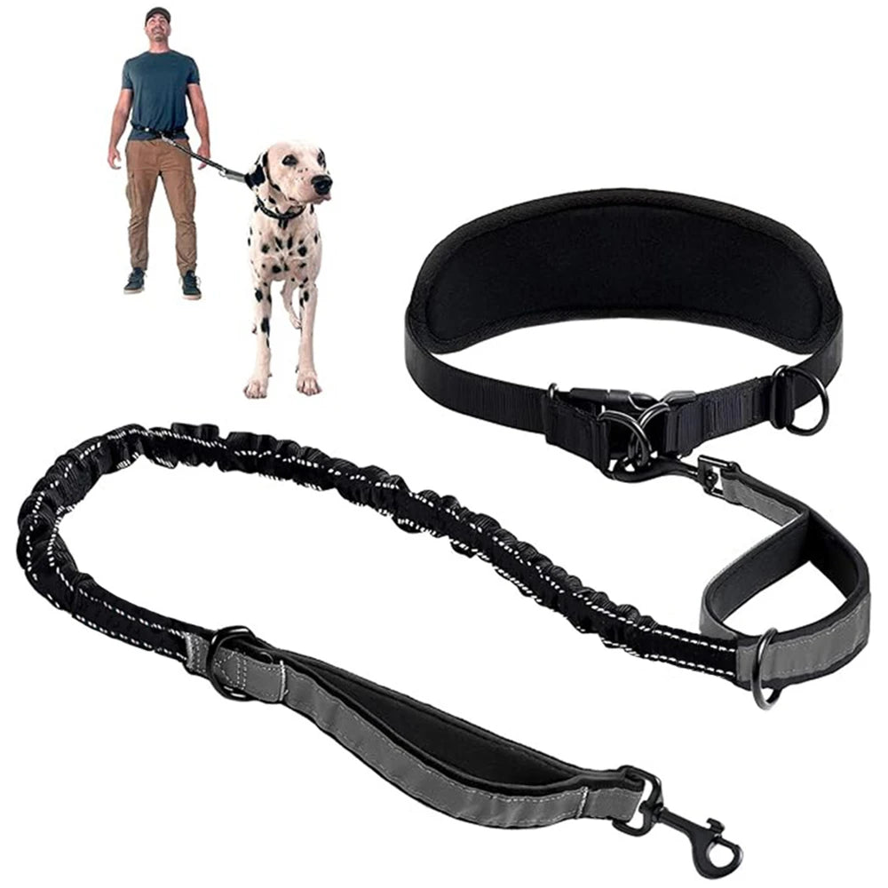 Midjebälte med elastiskt hundkoppel
