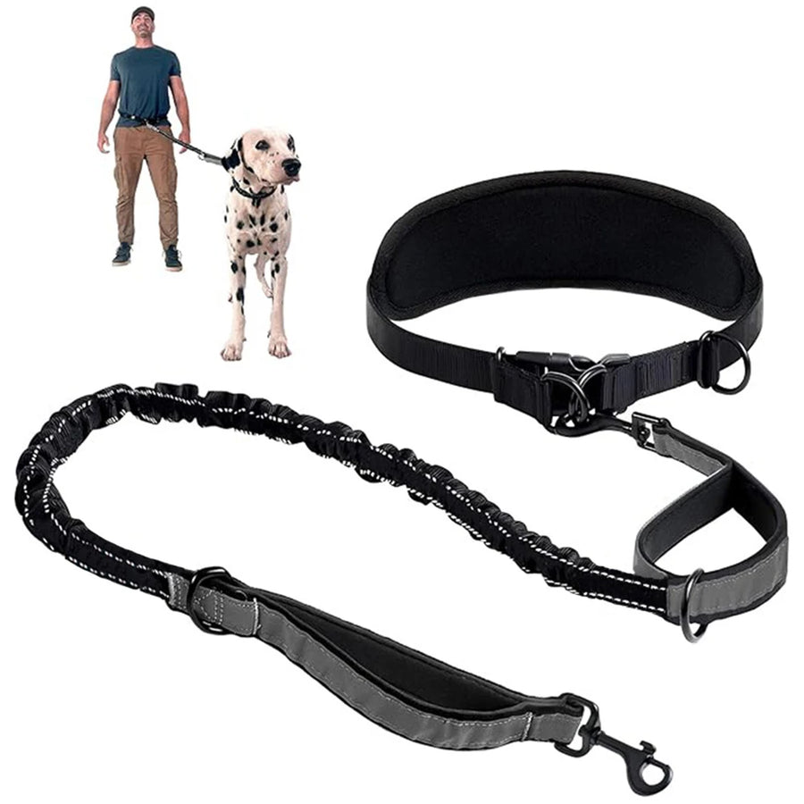 Midjebälte med elastiskt hundkoppel