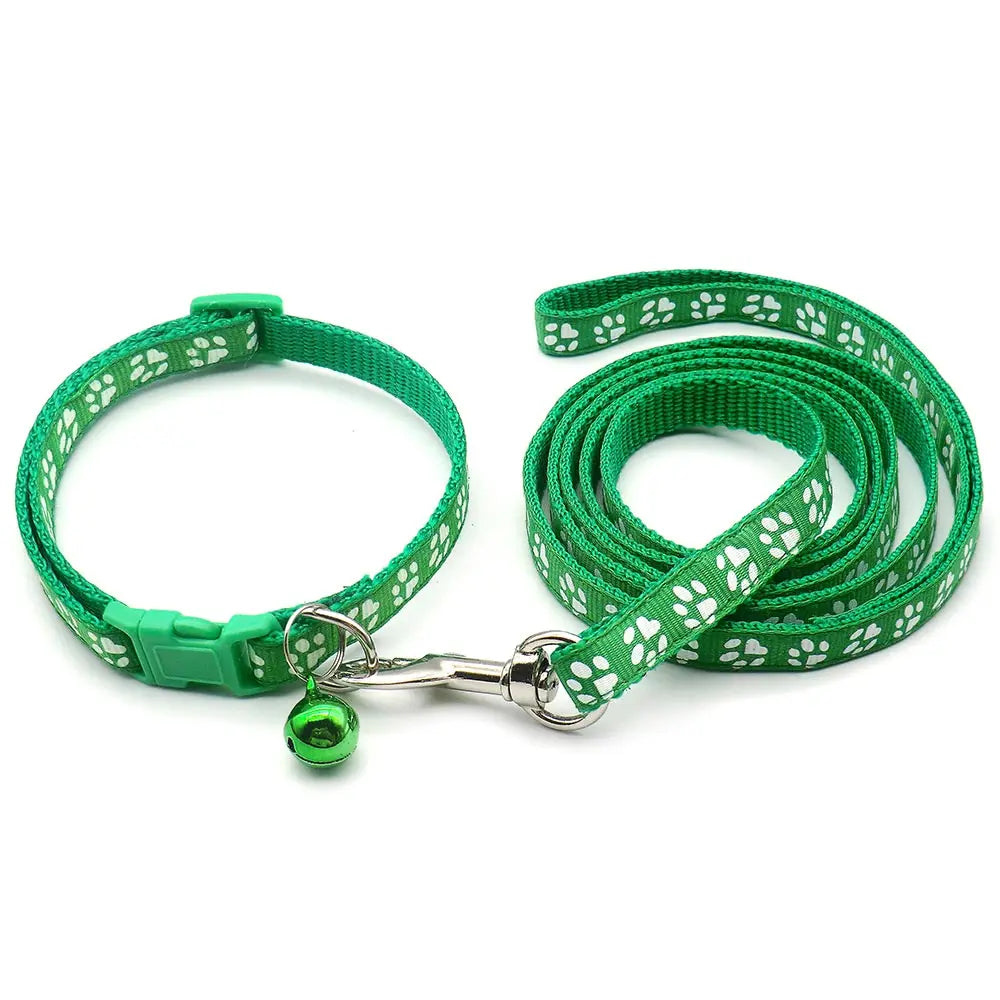 Halsband och koppel med tassmotiv