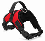 Hundsele med öppningsbar halsrem
