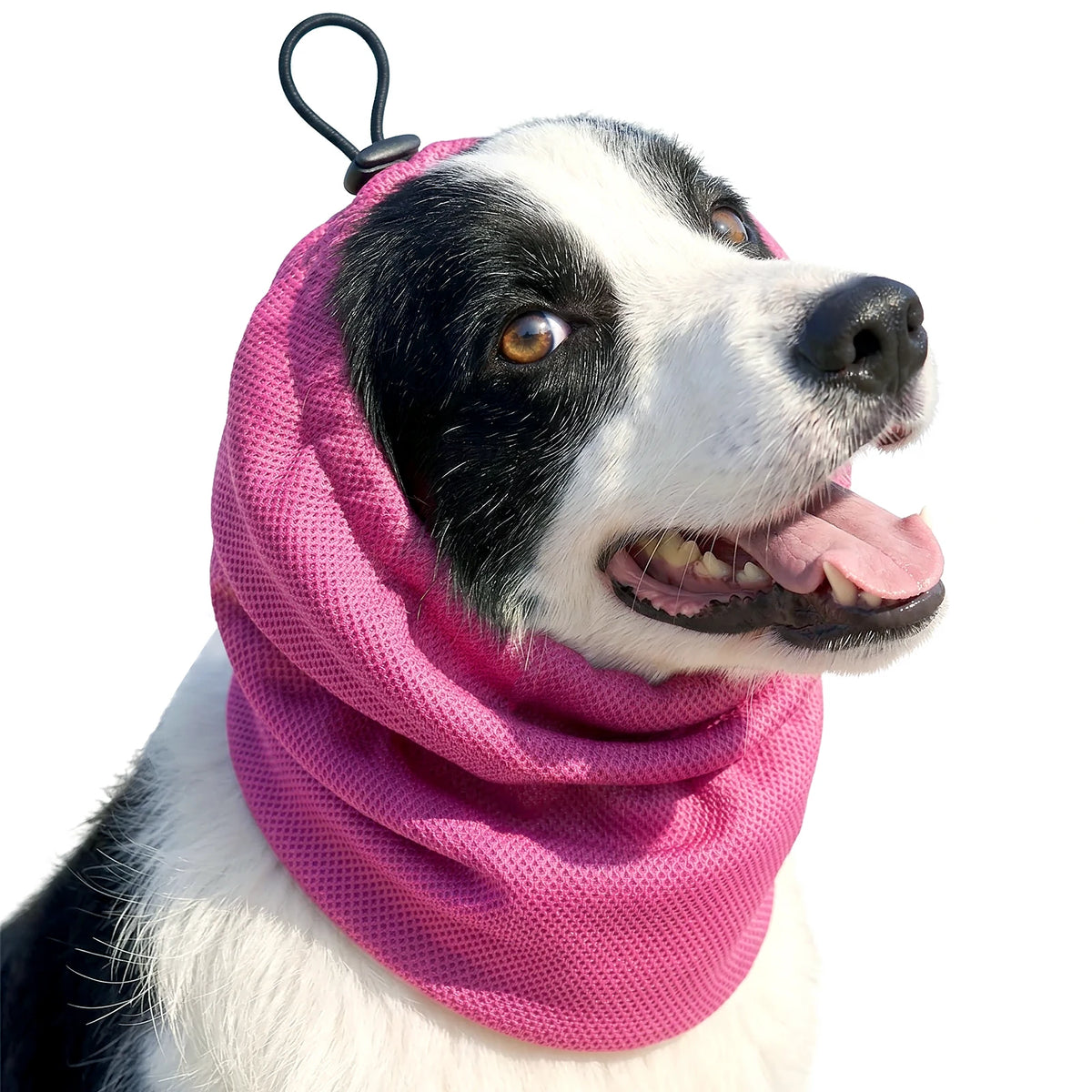 Justerbar sommartub för hund