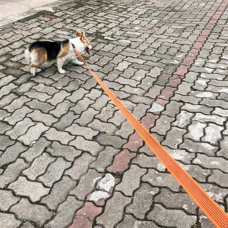 Orange långlina med gummitrådar