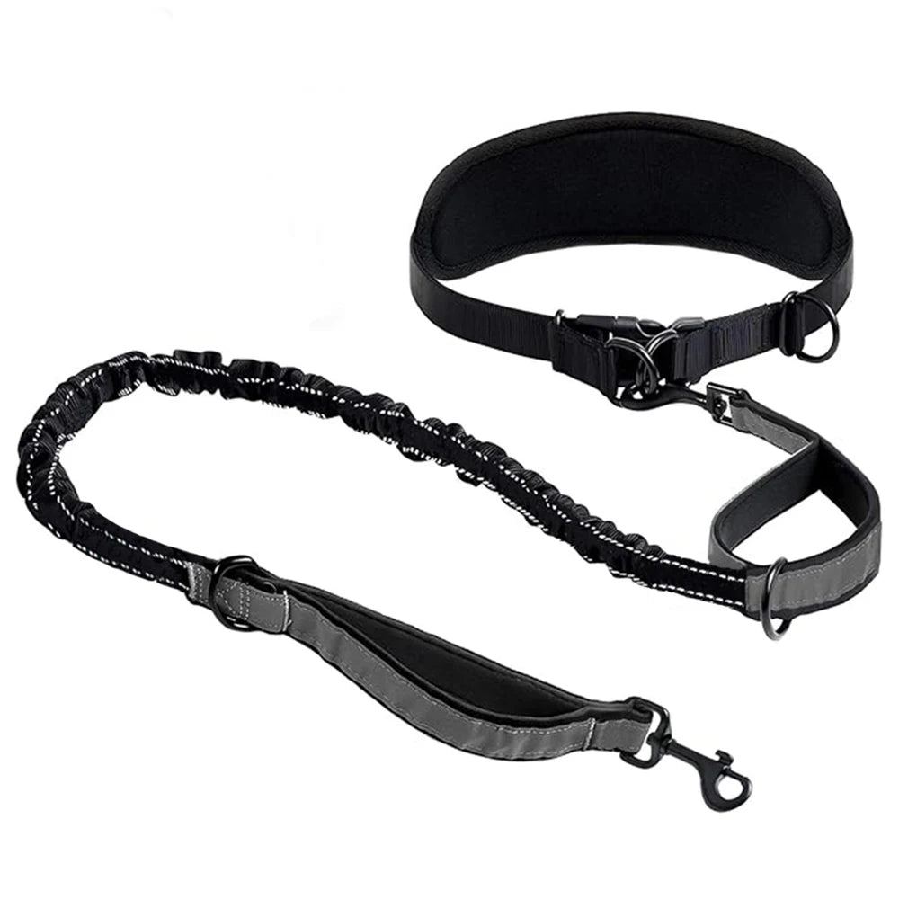 Midjebälte med elastiskt hundkoppel