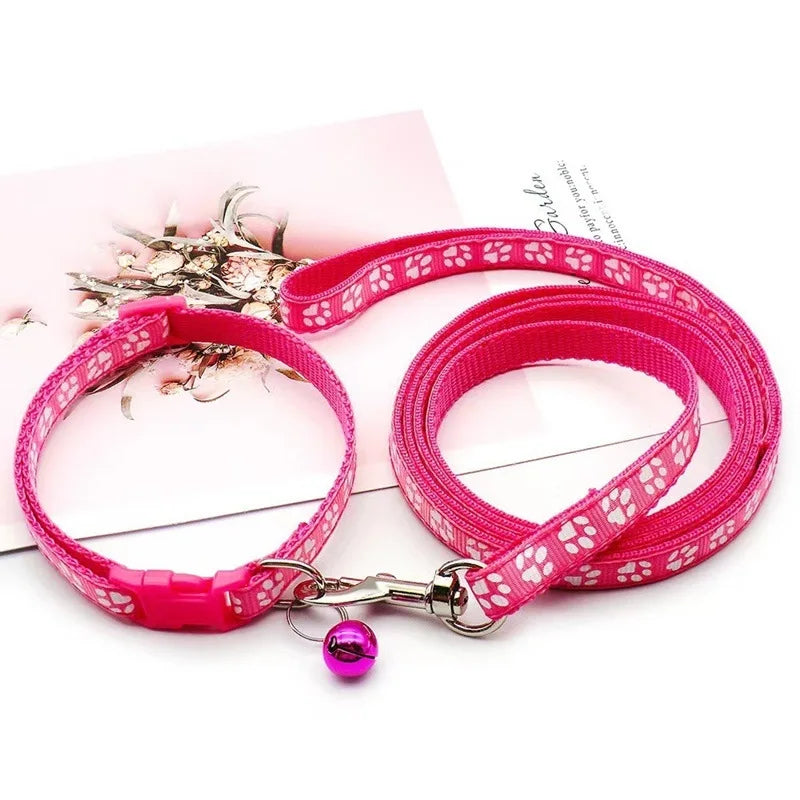 Halsband och koppel med tassmotiv
