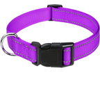 Justerbart halsband med reflexsömmar