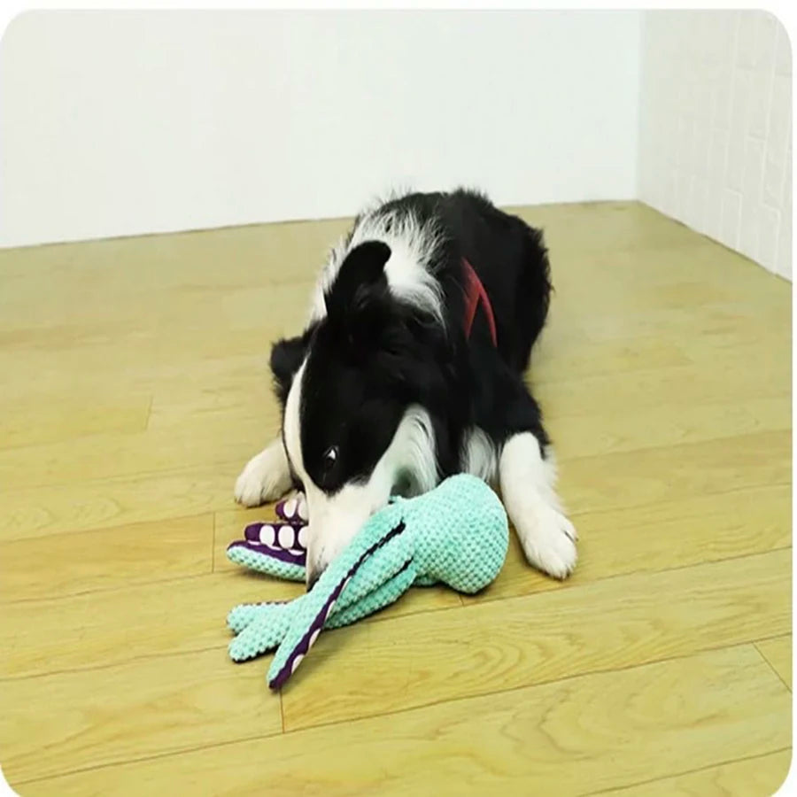 En svartvit hund leker med den ljusblå bläckfiskleksaken på ett golv