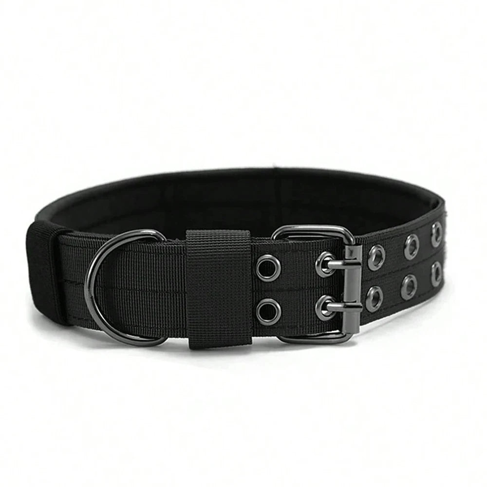 Hundhalsband med dubbelspänne