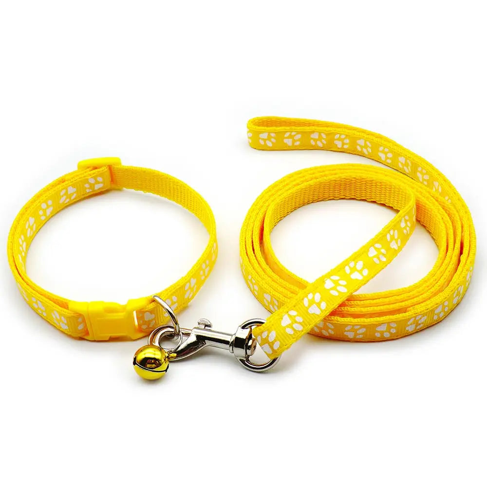 Halsband och koppel med tassmotiv