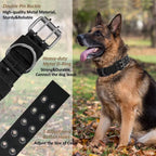 Hundhalsband med dubbelspänne