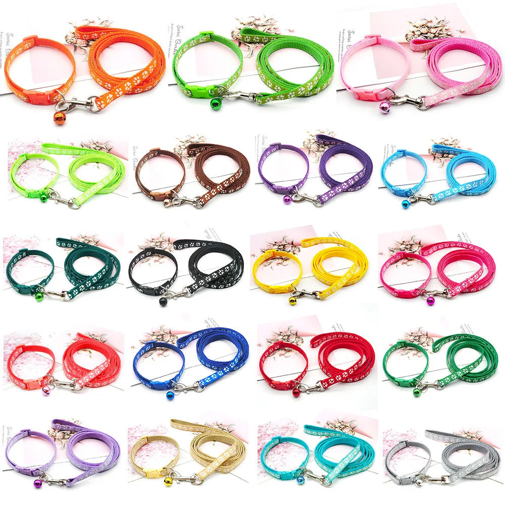 Halsband och koppel med tassmotiv