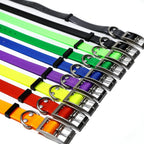 Hundhalsband i TPU